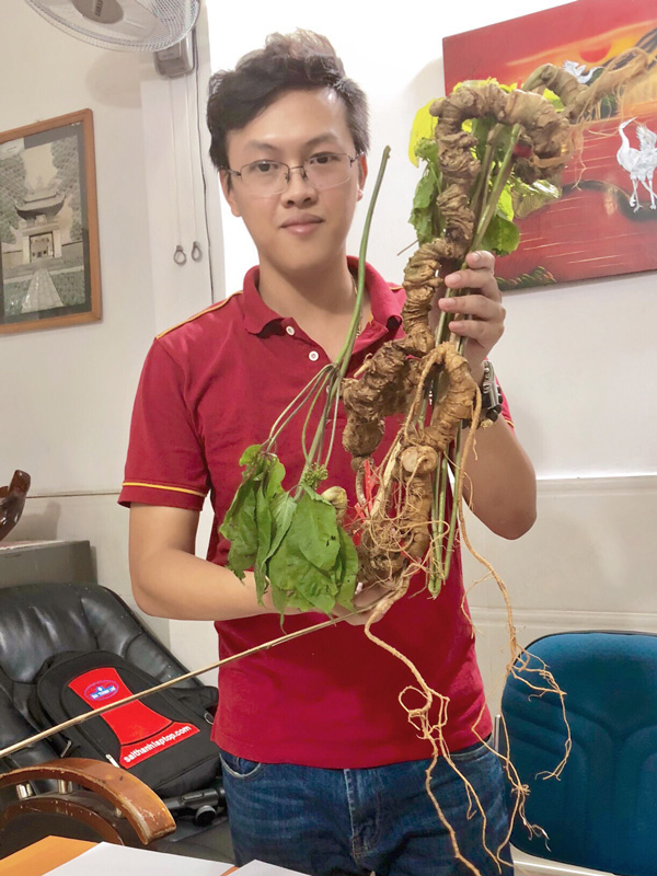 Củ s&acirc;m Ngọc Linh
