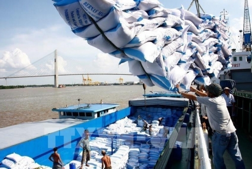 Thành lập Đoàn kiểm tra liên ngành về xuất khẩu gạo