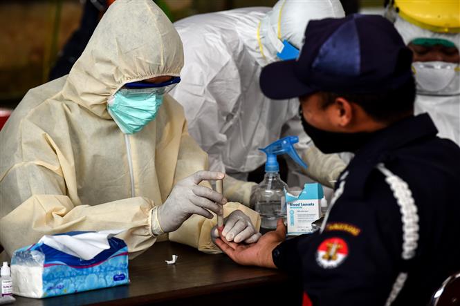 Giới chức y tế lấy mẫu x&eacute;t nghiệm tại một khu chợ ở Indonesia. Ảnh: AFP