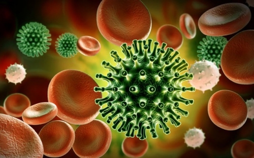 WHO: Bộ gen SARS-CoV-2 gây dịch bệnh Covid-19 không giống loại virus nhân tạo