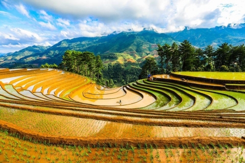 Sắc màu Mù Cang Chải