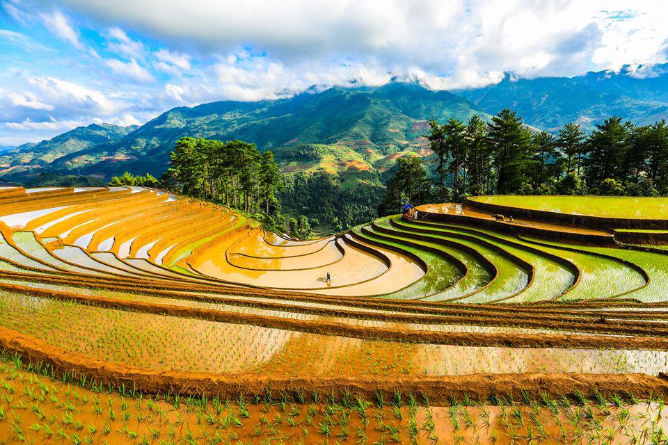 Sắc màu Mù Cang Chải