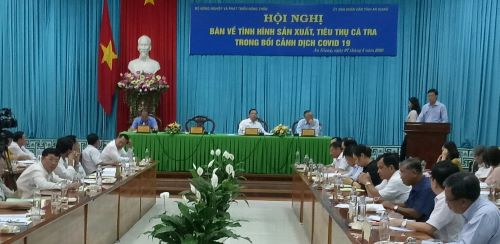 Quang cảnh Hội nghị