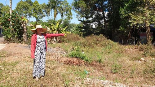 Đề nghị Chủ tịch UBND tỉnh Bình Phước xem xét, giải quyết nguyện vọng của cụ Nguyễn Thị Tần!