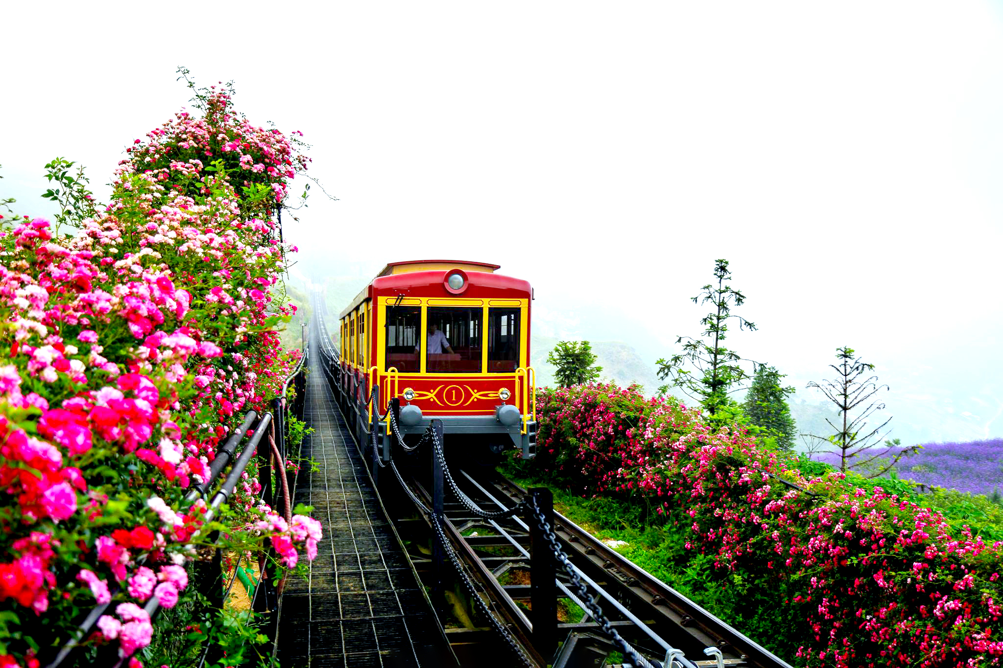 T&agrave;u hỏa leo n&uacute;i Mường Hoa