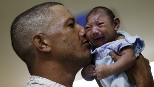 Phát hiện trường hợp nhiễm virus Zika tại Đà Nẵng, Bộ Y tế ra thông báo khẩn