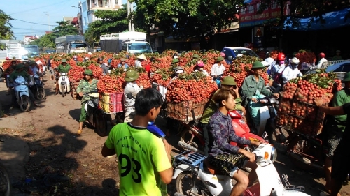Thủ tướng đồng ý hơn 300 người Trung Quốc được phép nhập cảnh vào Việt Nam mua vải thiều