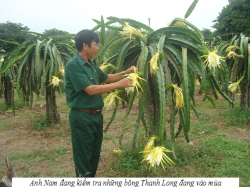 Từ mảnh đất cằn làm lên sự nghiệp