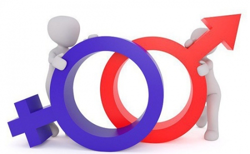 Tư vấn pháp lí về Bình đẳng giới và Quyền của Người cao tuổi