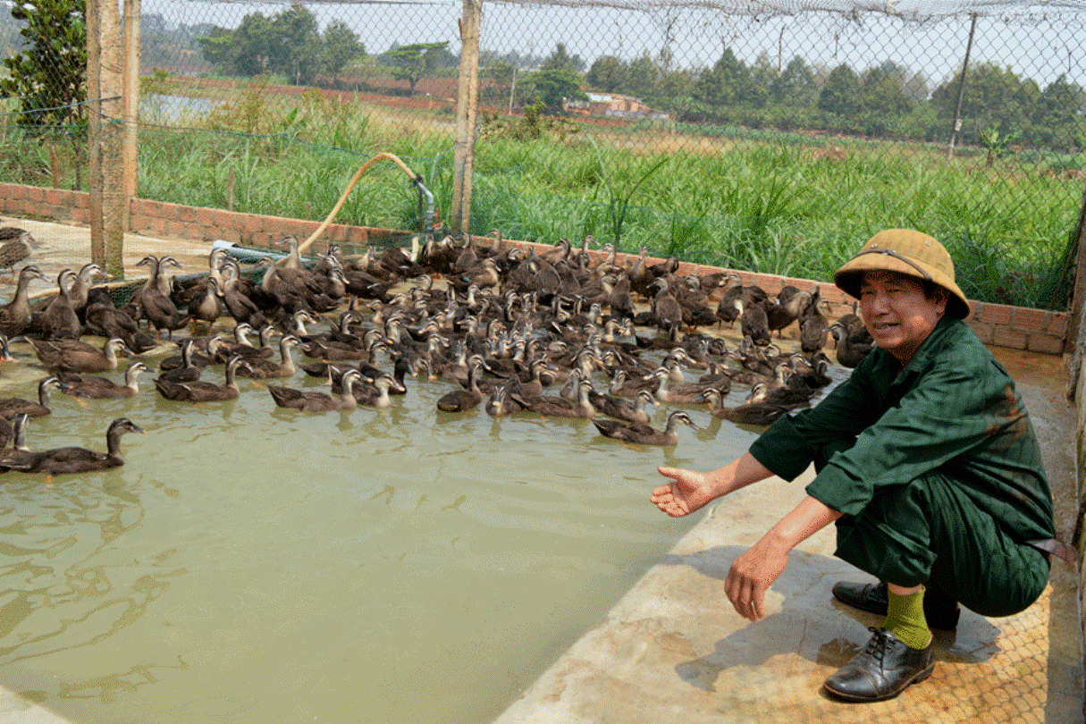 Làm giàu bên hồ Trà Đa