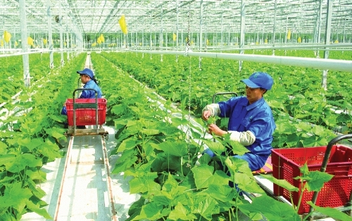 20 năm: Gần 2 tỉ USD vốn ODA dành cho phát triển nông nghiệp