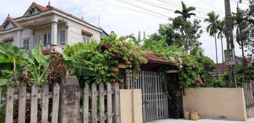 Rời phố về quê
