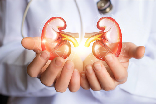 Một số thói quen không tốt gây hại cho thận