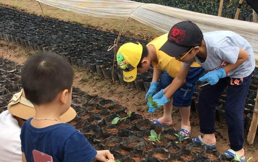 C&aacute;c bạn nhỏ sẽ được &ldquo;chơi m&agrave; học, học m&agrave; chơi&rdquo; tại FLC Eco Farm