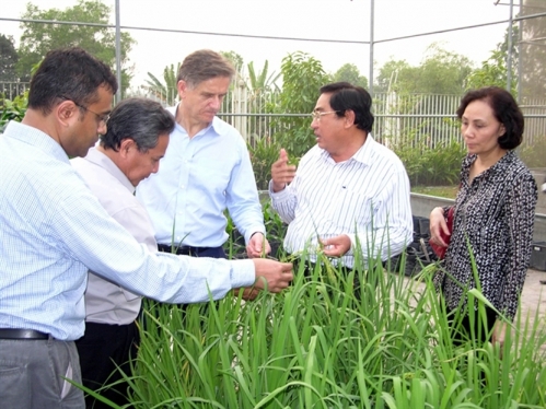Phát triển nông nghiệp hữu cơ: Cơ chế chính sách chưa đủ mạnh