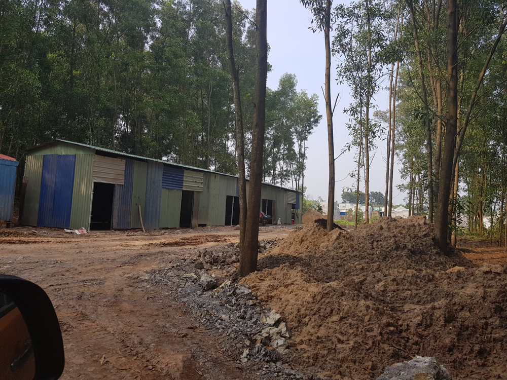 Do bị &eacute;p buộc nhận tiền nhưng chưa giao đất, n&ecirc;n hiện người d&acirc;n vẫn sử dụng