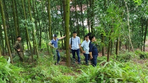 Bắc Giang: Phát hiện thi thể Phó chủ tịch xã trên núi