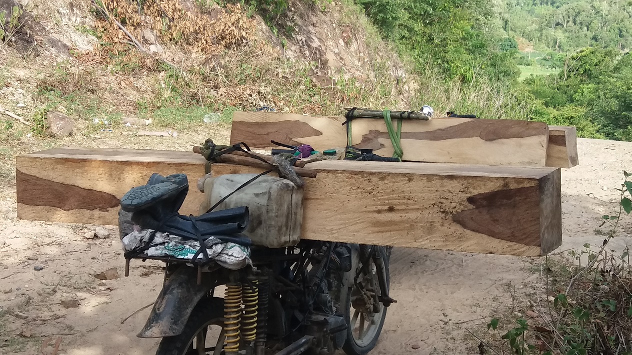 Những hộp gỗ lớn được xẻ vuống vức l&acirc;m tặc v&ocirc; tư chở đi tiệu thụ.
