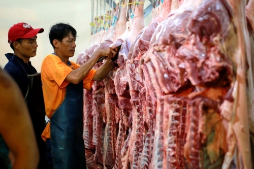 Nguồn cung thịt lợn các tháng cuối năm có thể thiếu khoảng 200 nghìn tấn