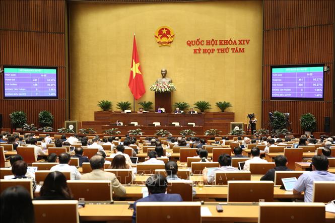 C&aacute;c đại biểu biểu quyết th&ocirc;ng qua Luật sửa đổi, bổ sung một số điều của Luật Tổ chức Ch&iacute;nh phủ với 436/451 đại biểu t&aacute;n th&agrave;nh, chiếm 90,27%. Ảnh:Dương Giang/ TTXVN