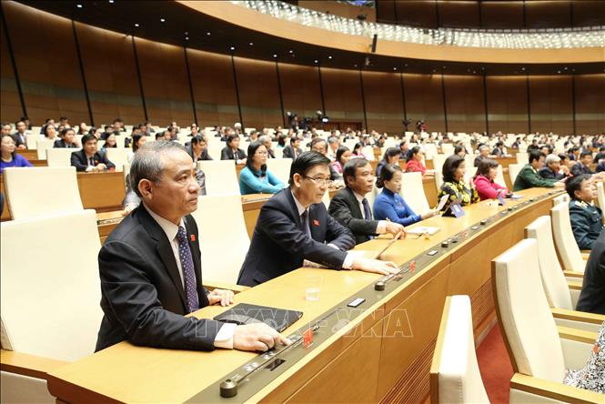 Đại biểu Quốc hội th&agrave;nh phố Đ&agrave; Nẵng biểu quyết th&ocirc;ng qua Nghị quyết kỳ họp thứ 8, Quốc hội kh&oacute;a XIV. Ảnh: Phương Hoa/TTXVN
