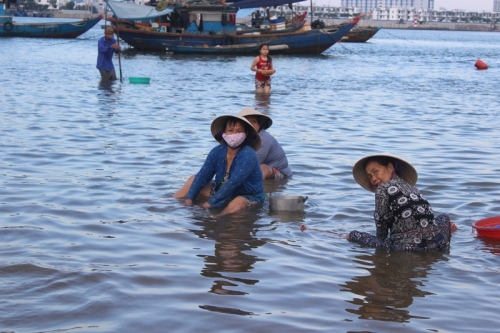 Đặc sản sông Hàn