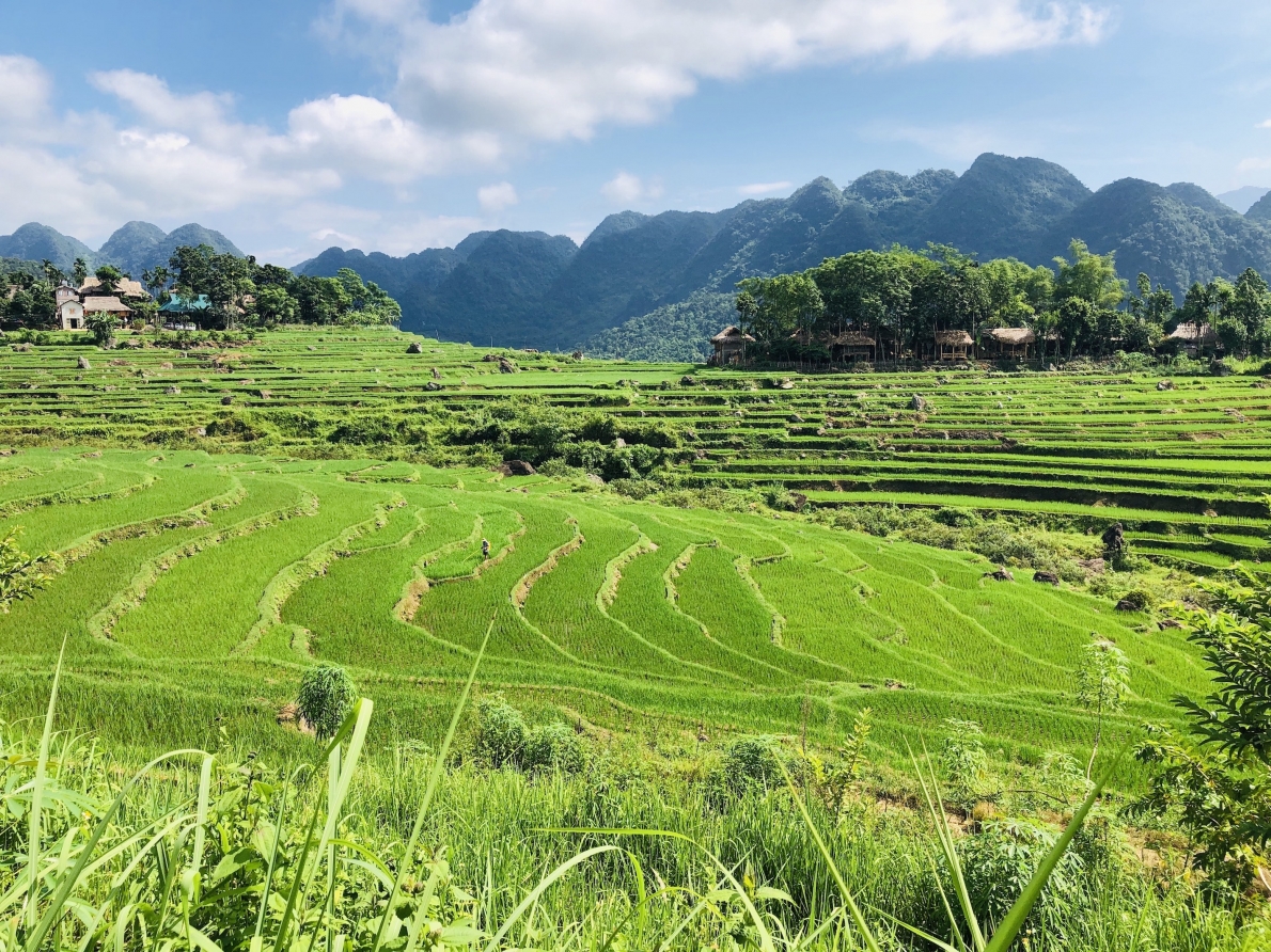Pù Luông mườn mượt sắc Thu