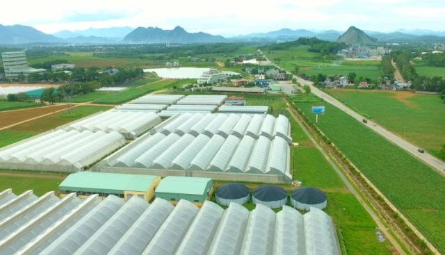 Phát huy vai trò lãnh đạo của Đảng trong phát triển kinh tế - xã hội