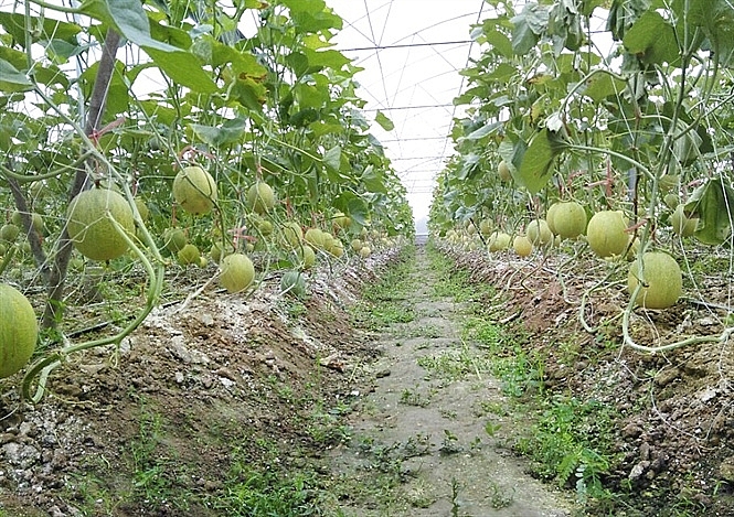 Phát huy vai trò lãnh đạo của Đảng trong phát triển kinh tế - xã hội
