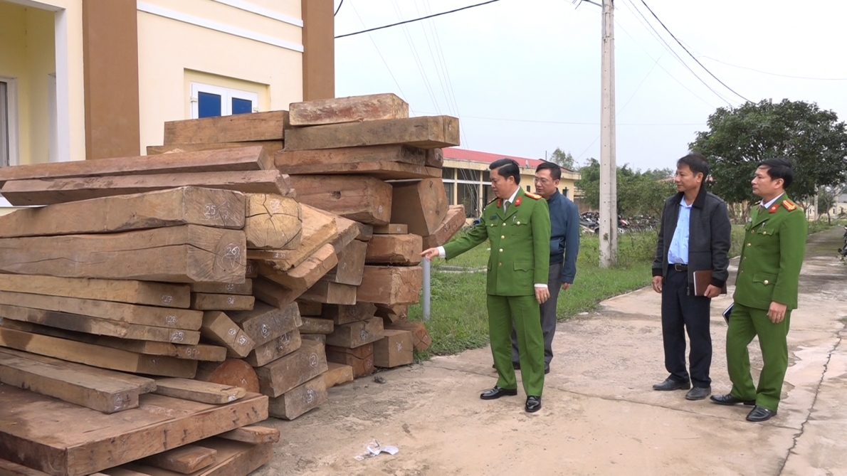 Quảng Bình: Phát hiện một vụ phá rừng quy mô lớn, thu giữ hơn 30 mét khối gỗ quý hiếm