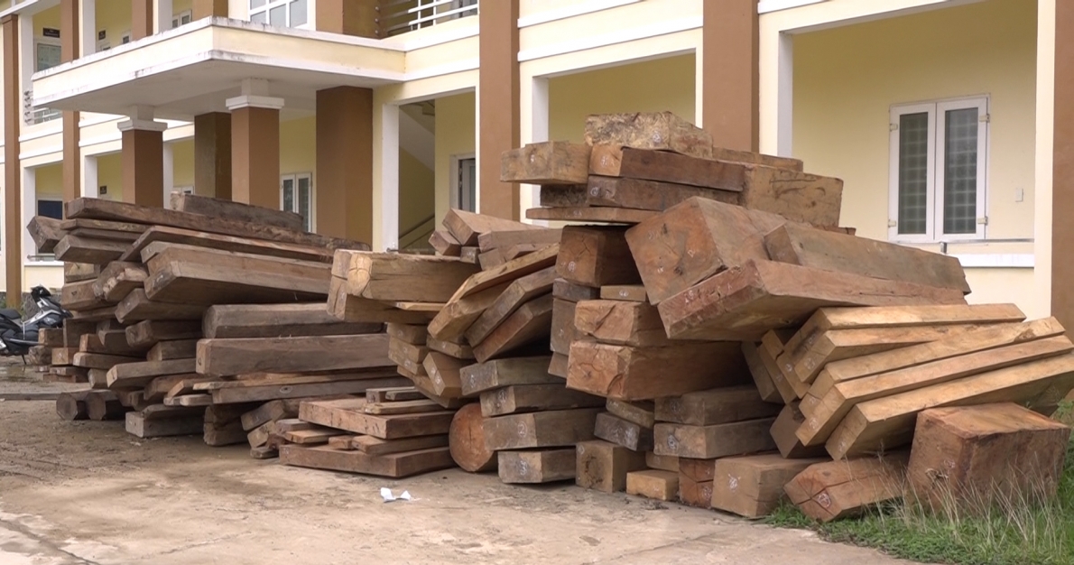 Quảng Bình: Phát hiện một vụ phá rừng quy mô lớn, thu giữ hơn 30 mét khối gỗ quý hiếm