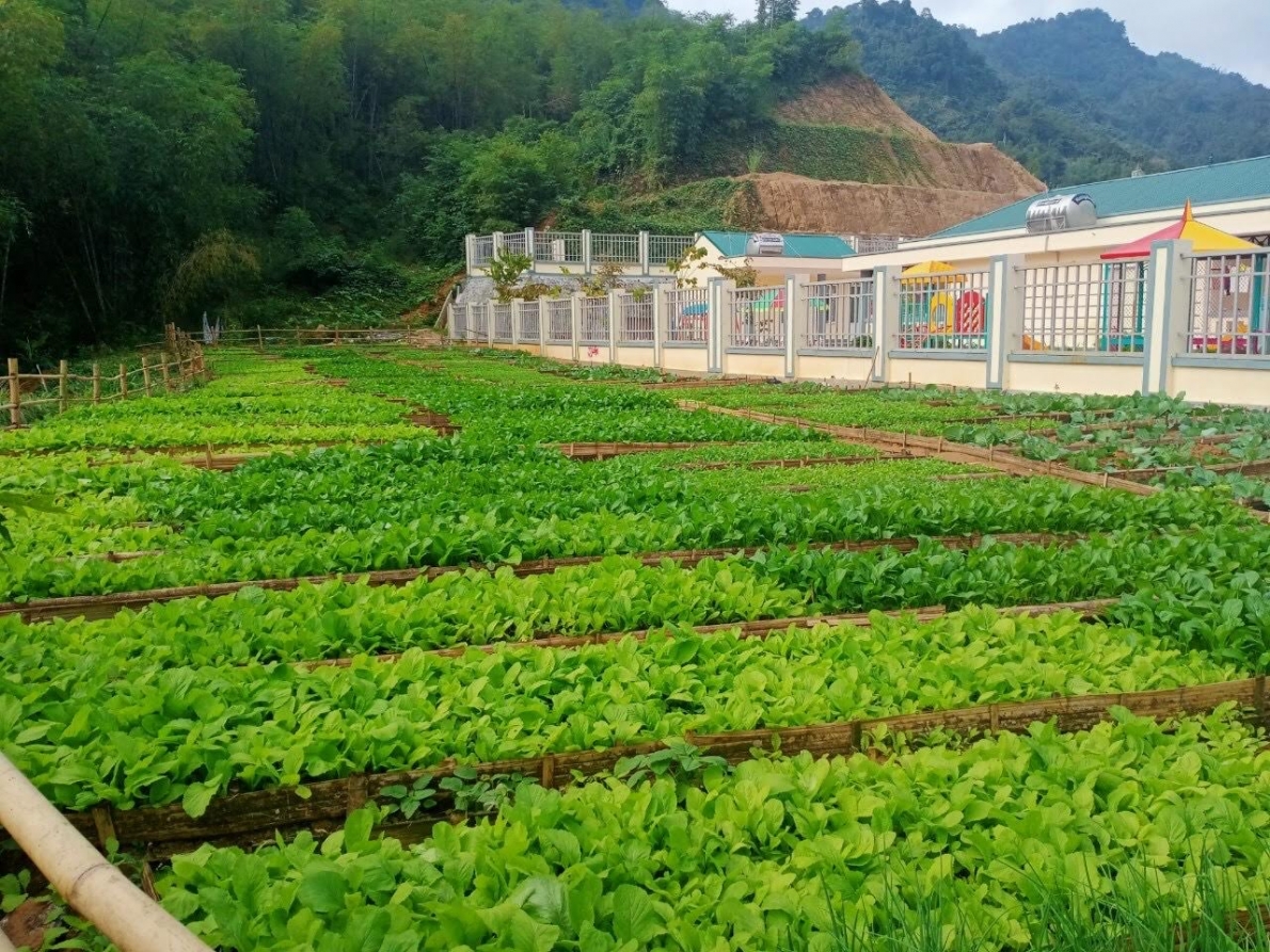 Nông thôn mới kiểu mẫu ở bản tái định cư vùng biên Sa Ná: Màu xanh trên đỉnh Pom Ngồ