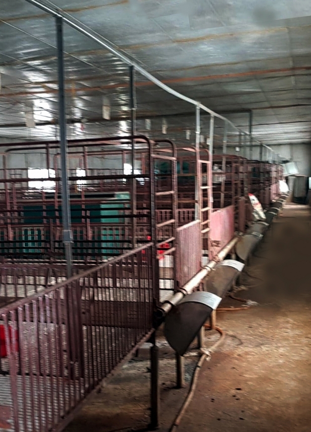 Tất cả chuồng trại chăn nuôi ngừng hoạt động chịu ảnh hưởng trực tiếp từ dự án.