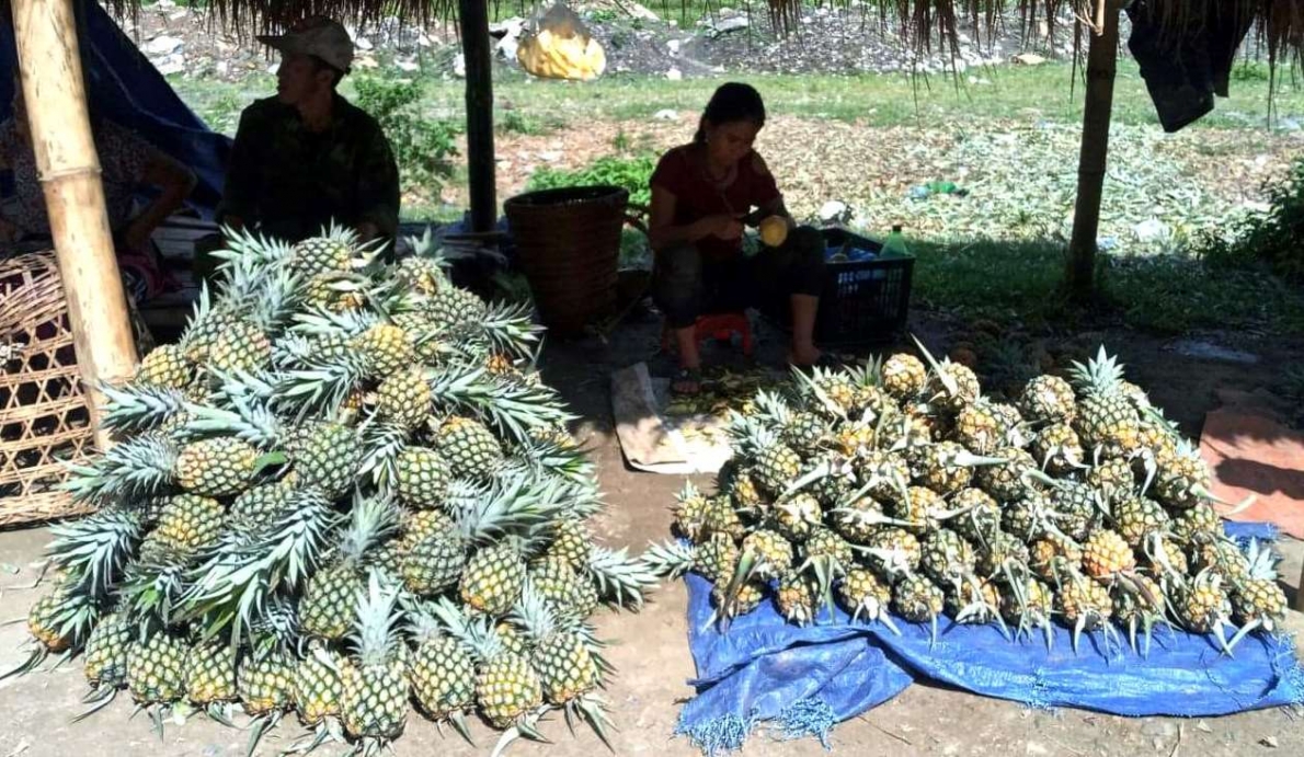Khắp nơi chăm sóc, phát huy vai trò người cao tuổi