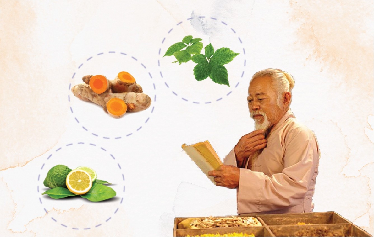 Mỡ máu Tâm Bình - Hỗ trợ giảm mỡ máu, bảo vệ gan 