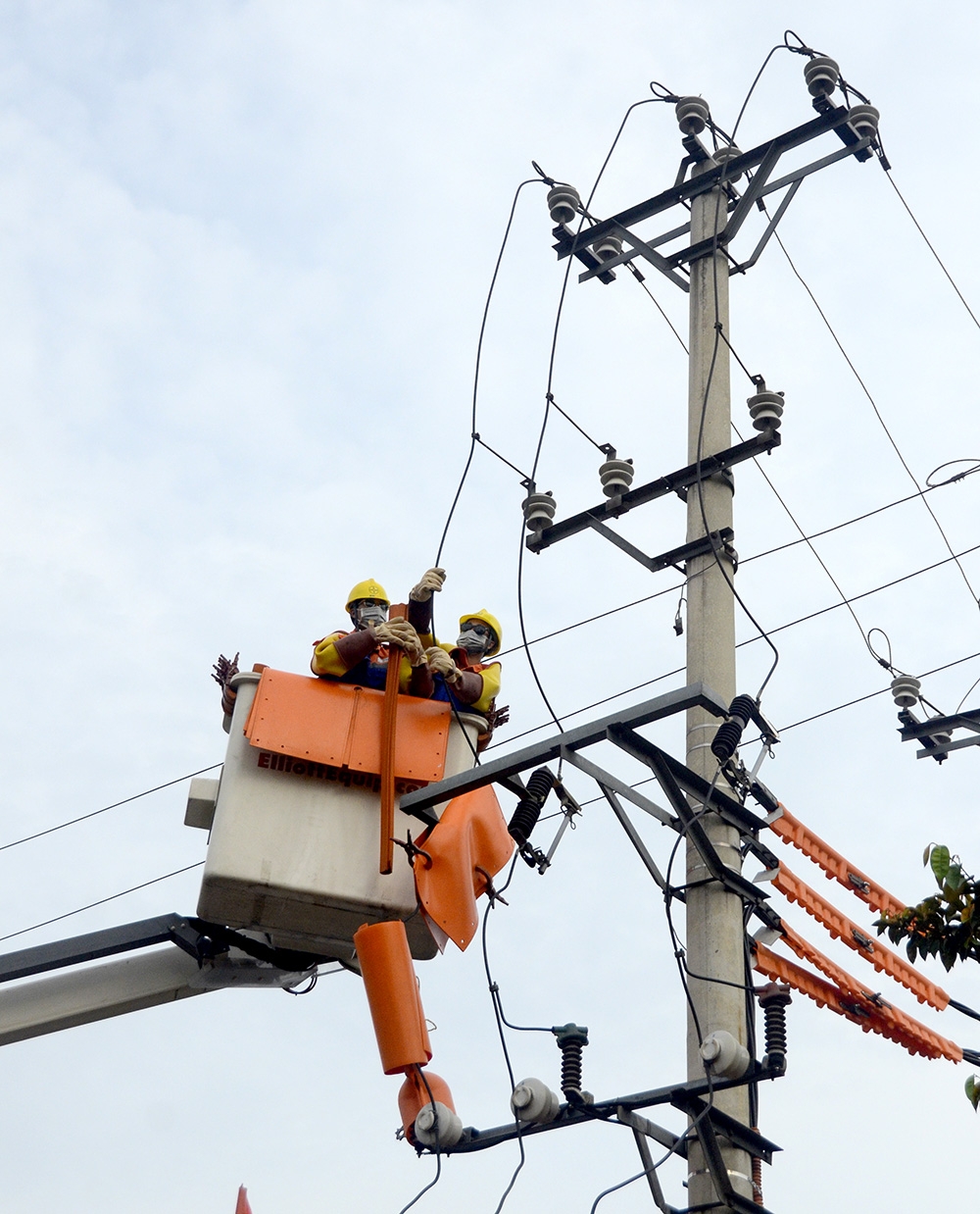 Tổng Công ty Điện lực miền Bắc chủ động ứng phó với thiên tai