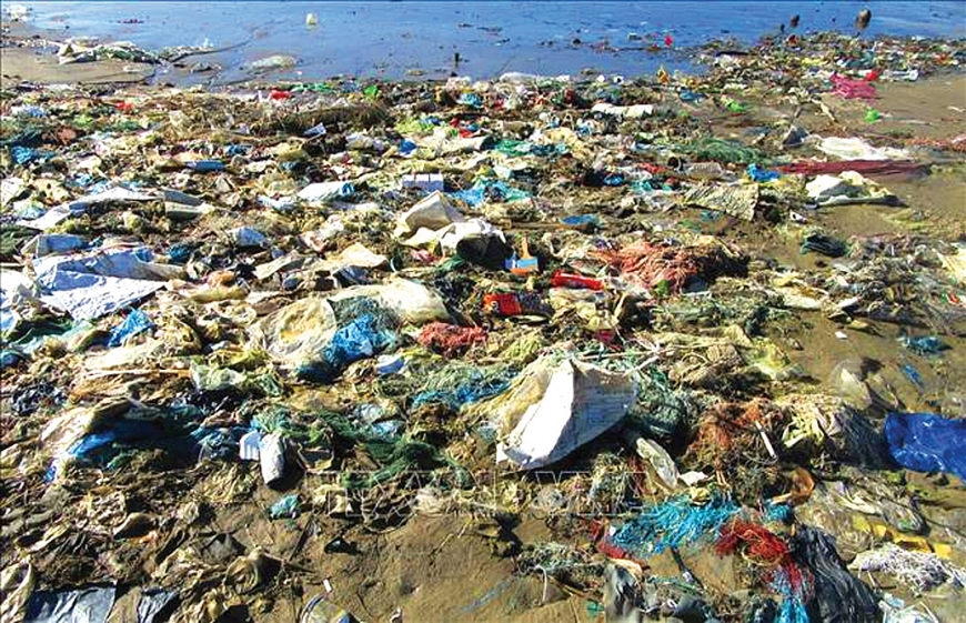 Rác thải khó phân hủy ken dày trên bãi biển Đông Hải, thành phố Phan Rang - Tháp Chàm, tỉnh Ninh Thuận