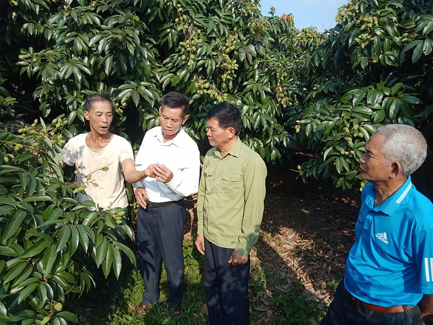 Ông Vi Minh Bình bên trái trao đổi phát triển kinh tế với các hội viên NCT trong xã