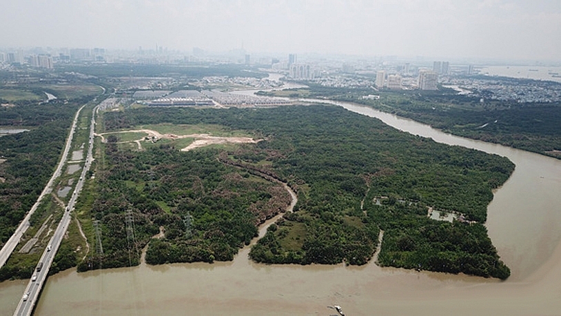 Khu đất hơn 32ha được Công ty Tân Thuận bán với giá rẻ so với thị trường.