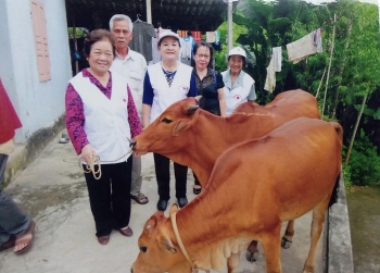 Người phụ nữ đa tài, dấn thân làm việc nghĩa