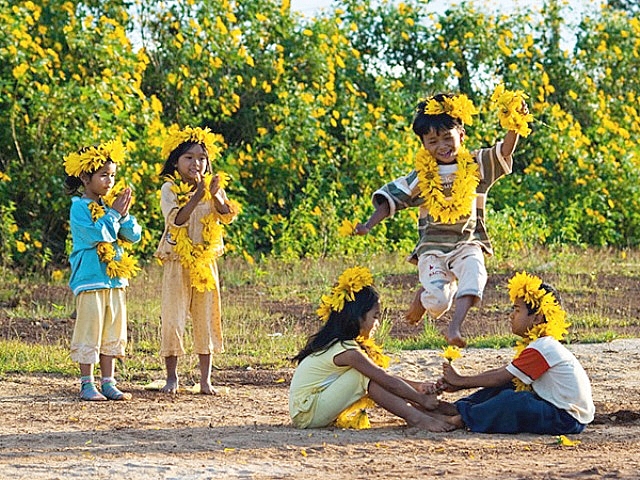 Tây Nguyên mùa dã quỳ trổ bông! Tây Nguyên mùa dã quỳ trổ bông!