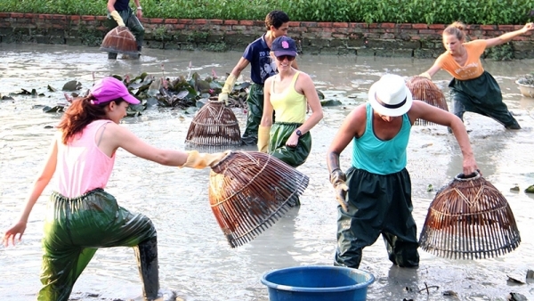 Du lịch nông thôn cần chuyên nghiệp và bền vững